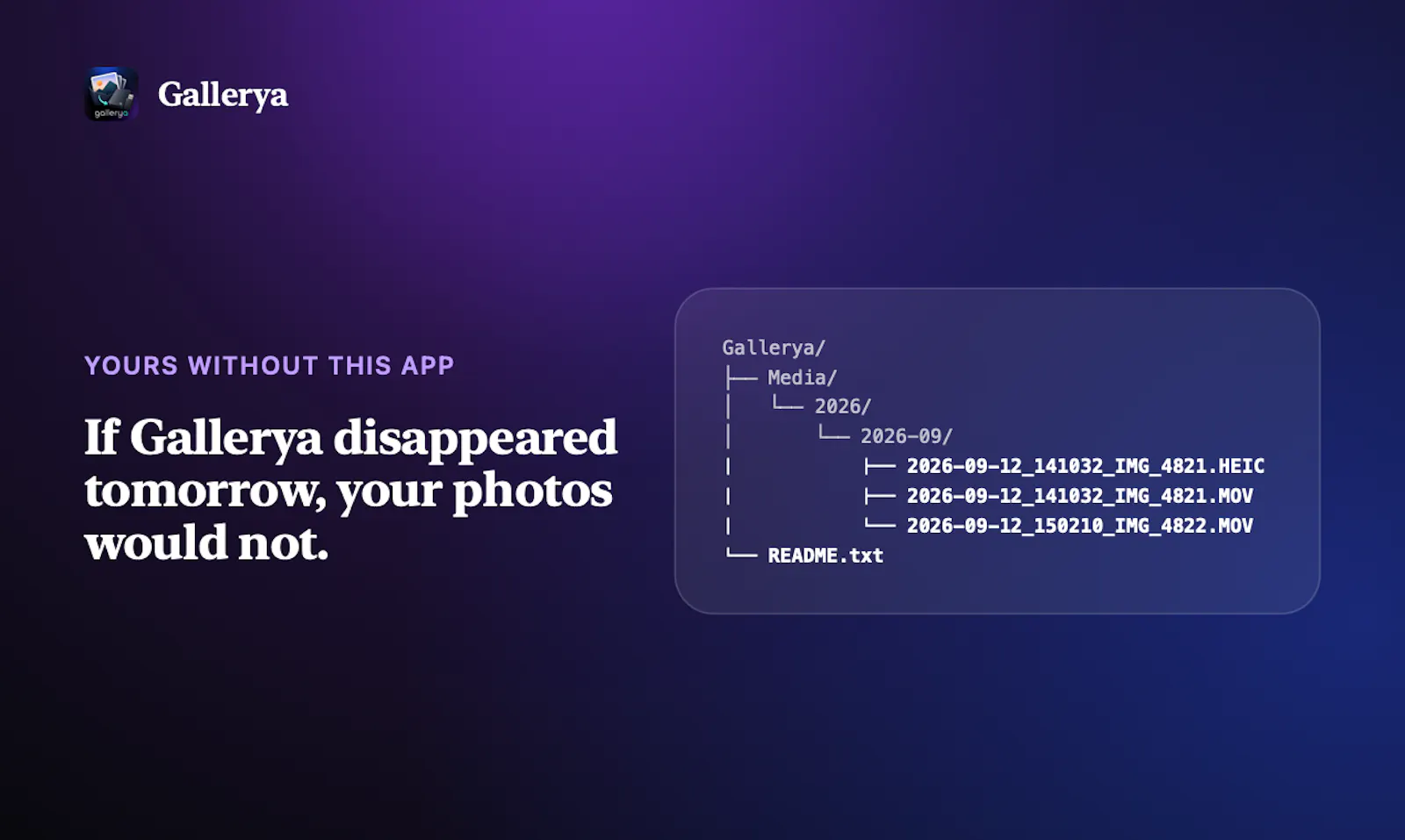 Gallerya screenshot 7