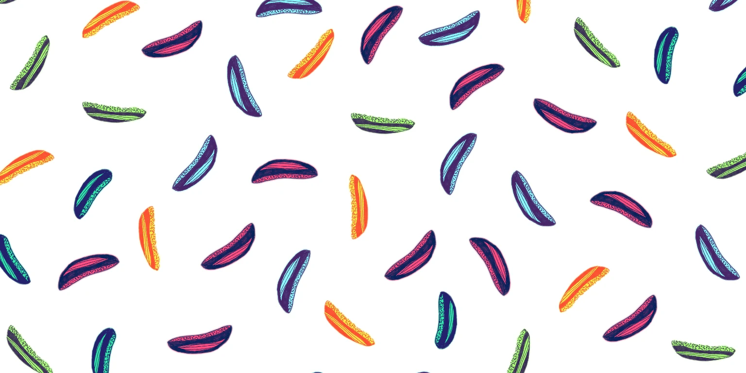 Slangbusters Studio cover