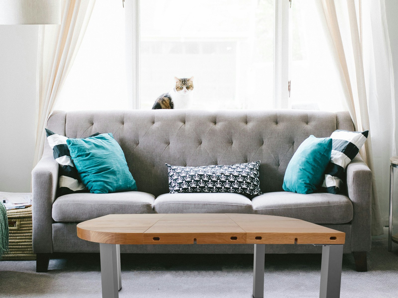 Modulos gallery image