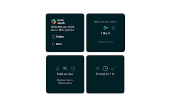 Focals Slack Ability gallery image