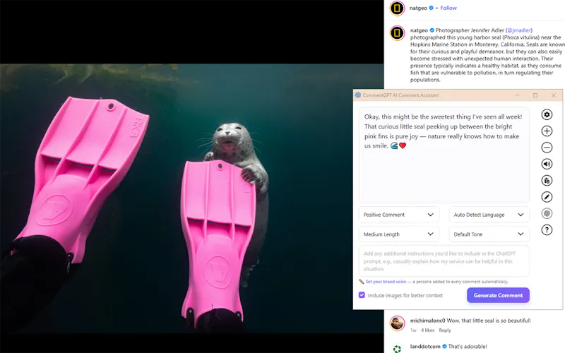 CommentGPT screenshot 2