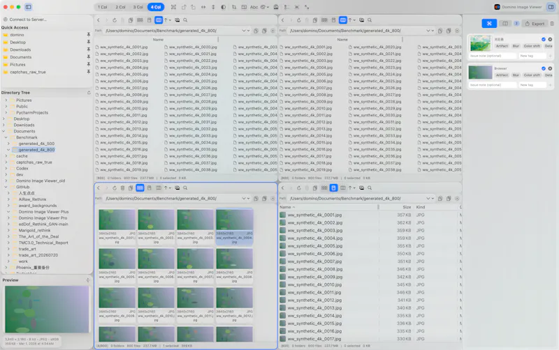 Domino Image Viewer screenshot 7
