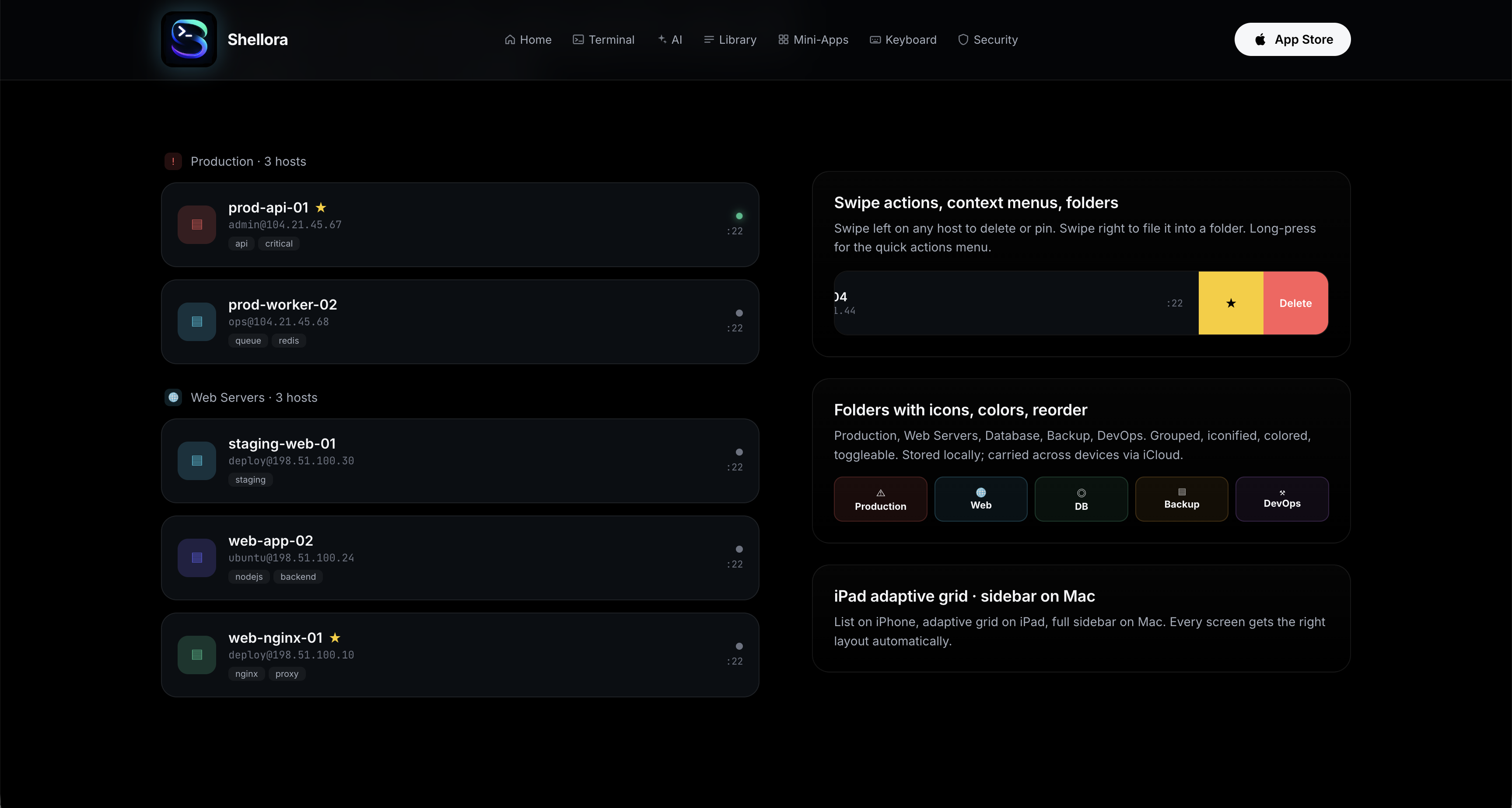 Shellora gallery image