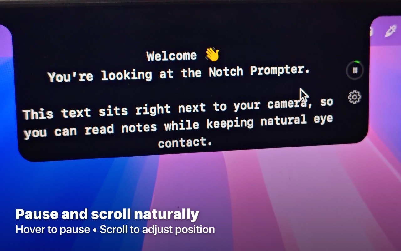 Notchie gallery image