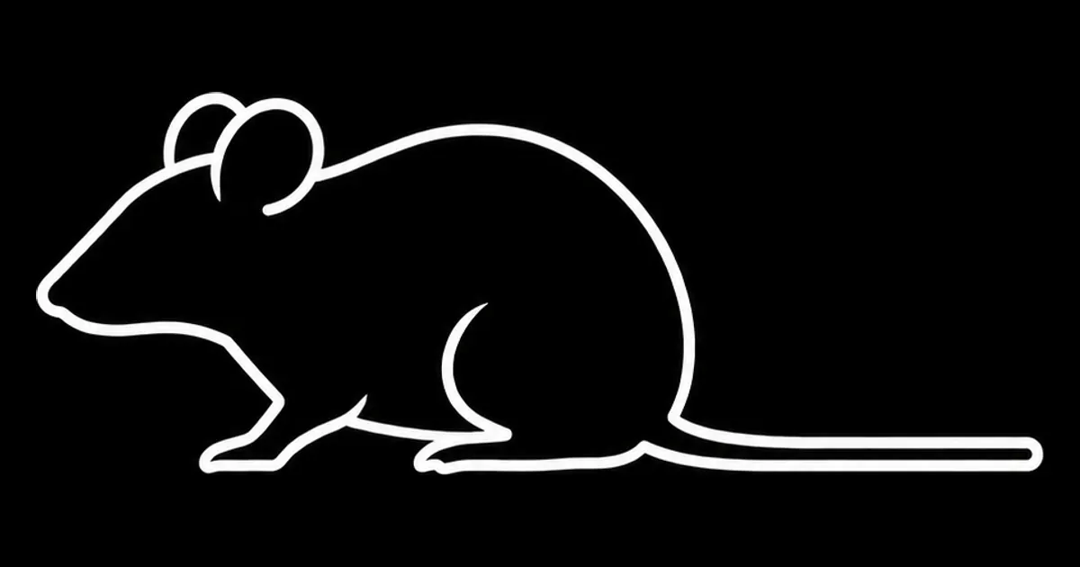 CountryMouse gallery image