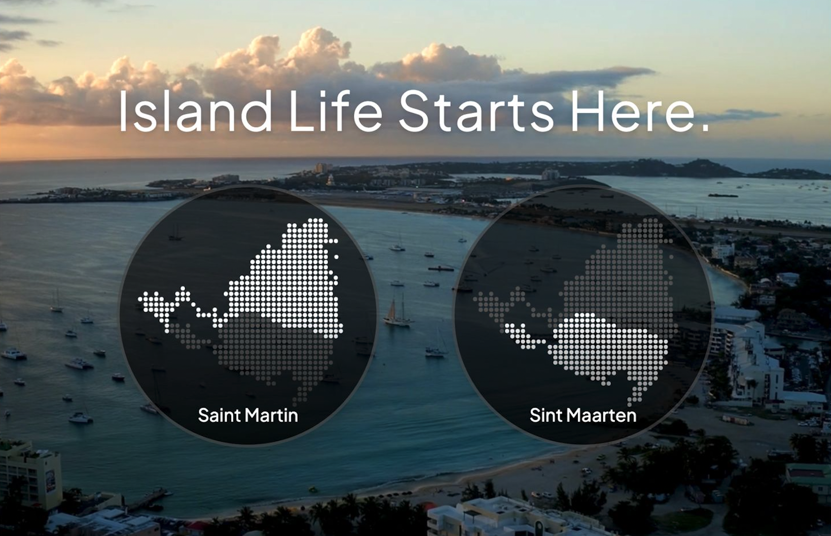 Coconut Market - Main product screenshot demonstrating key features and user interface