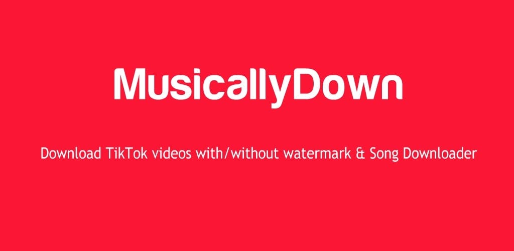 TikTok Downloader media 1