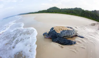 Andaman tour package gallery image