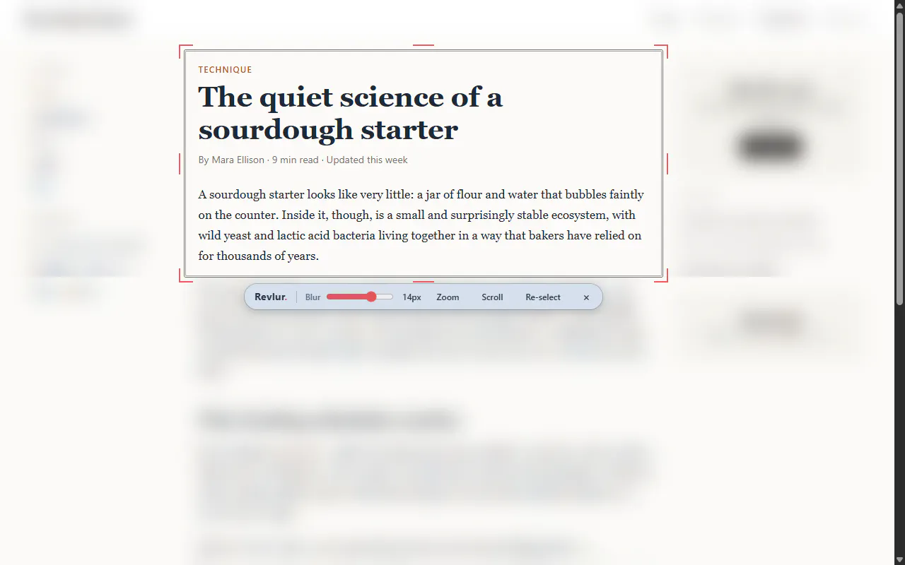 Revlur - Chrome Extension gallery image