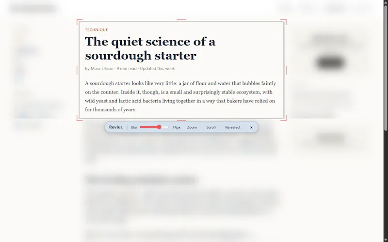Revlur - Chrome Extension screenshot 4