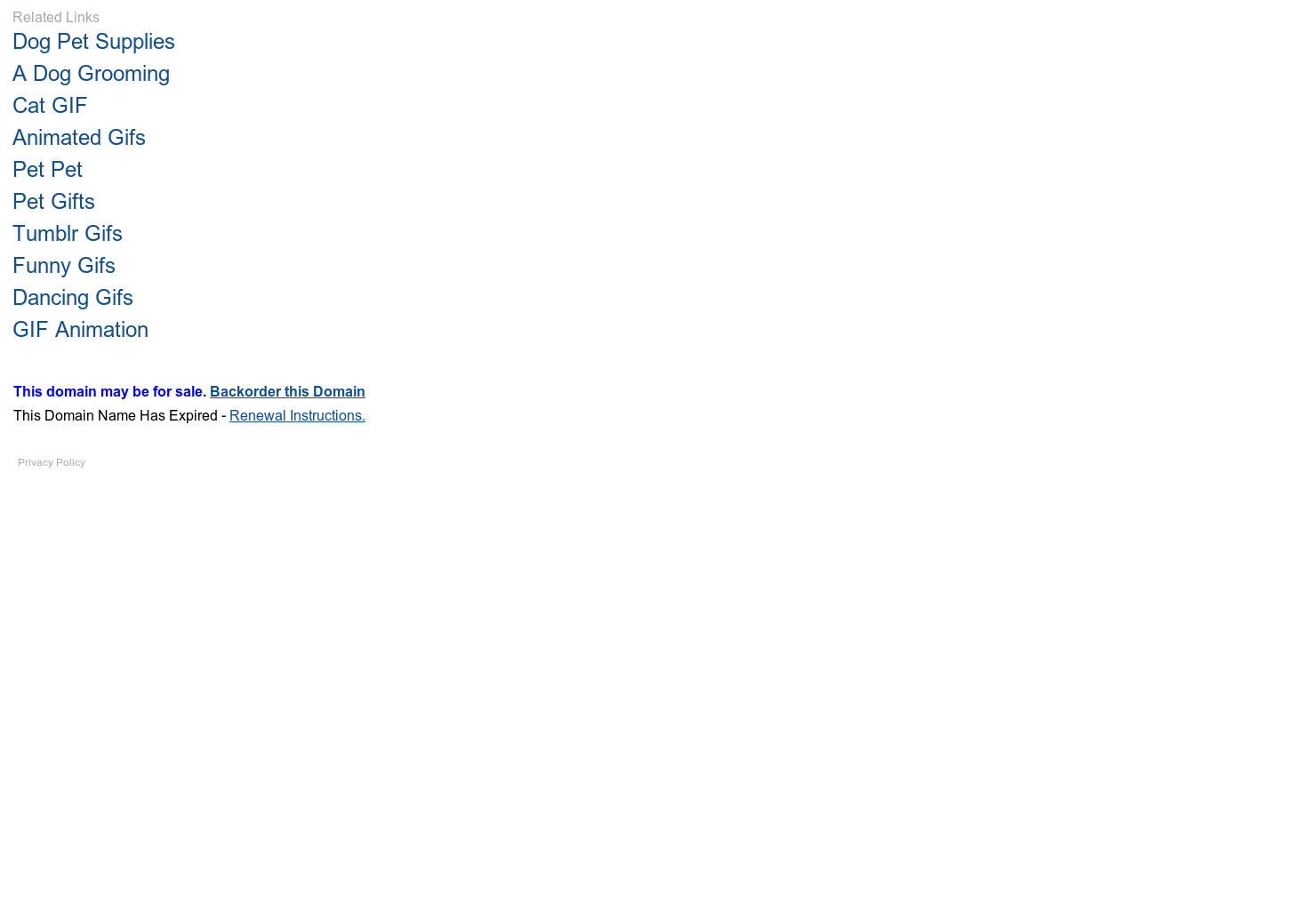 Pet GIFs gallery image