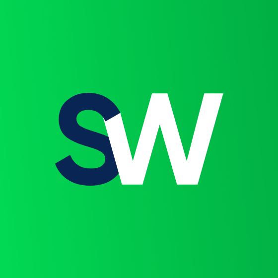 StormWall for Networks - Product Hunt launch logo and brand identity