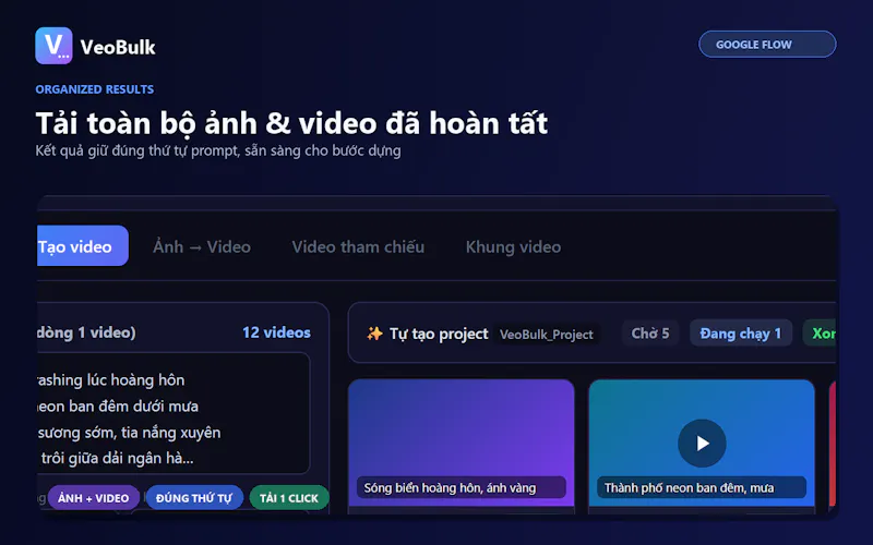 VeoBulk screenshot 3