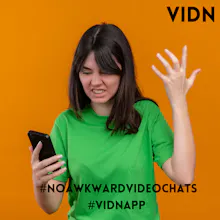 Vidn gallery image
