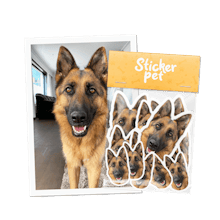 Sticker Pet gallery image