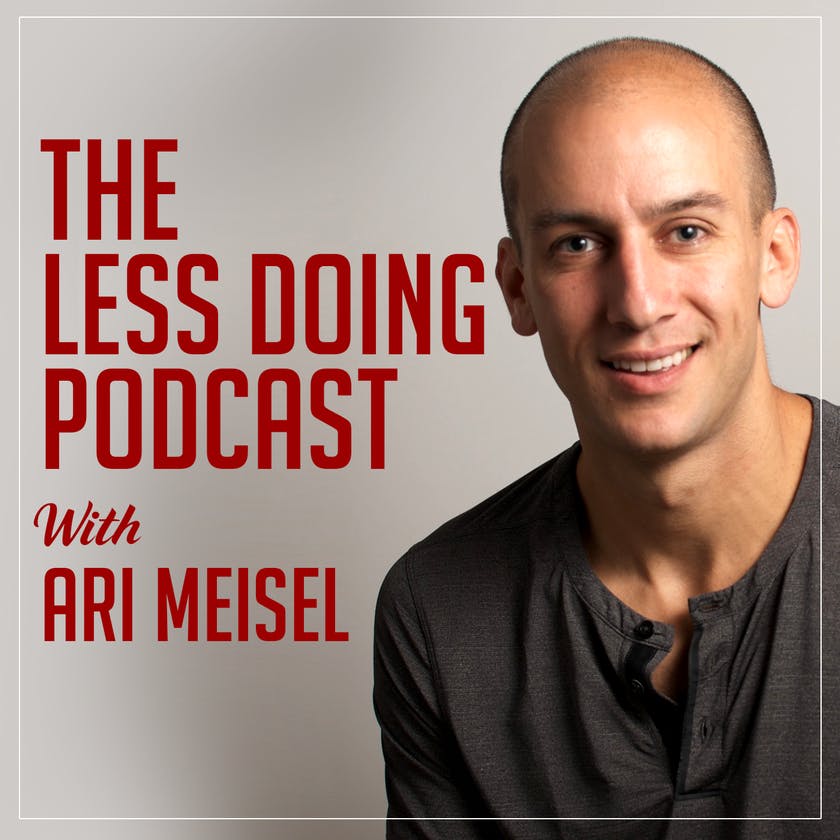 The Less Doing Podcast - Seth Godin media 1