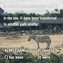 Elsa Test Prep gallery image