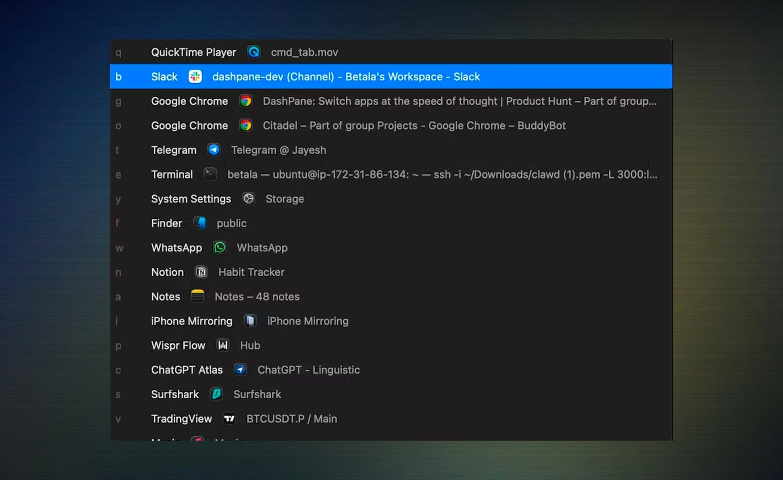 DashPane gallery image