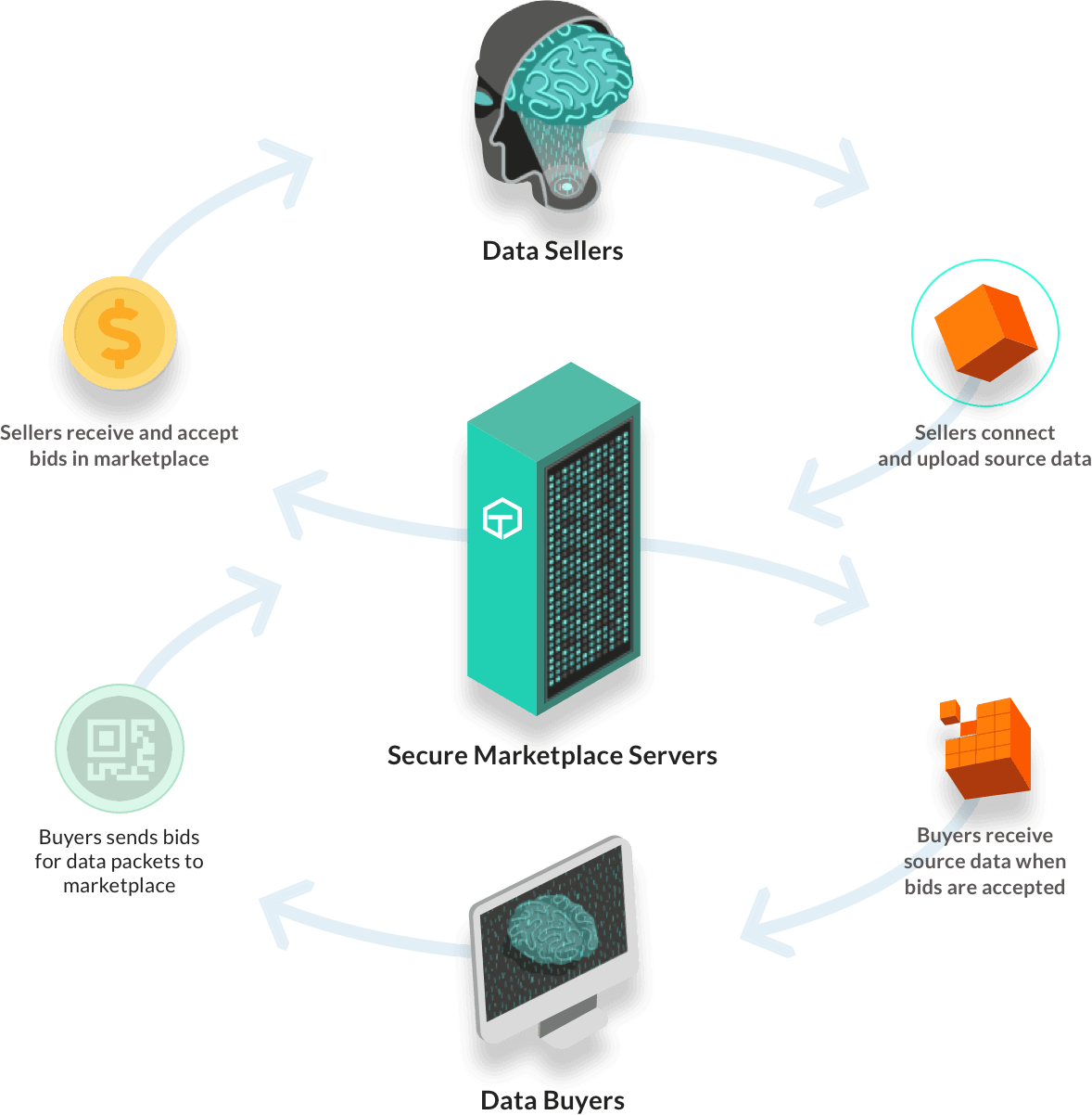 TARTLE gallery image