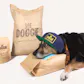 YaDoggie
