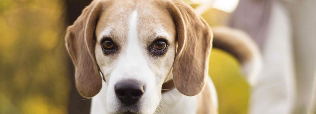 Worthee gallery image