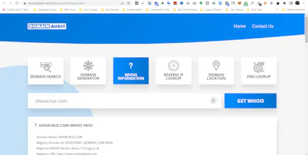 Domain Audit gallery image