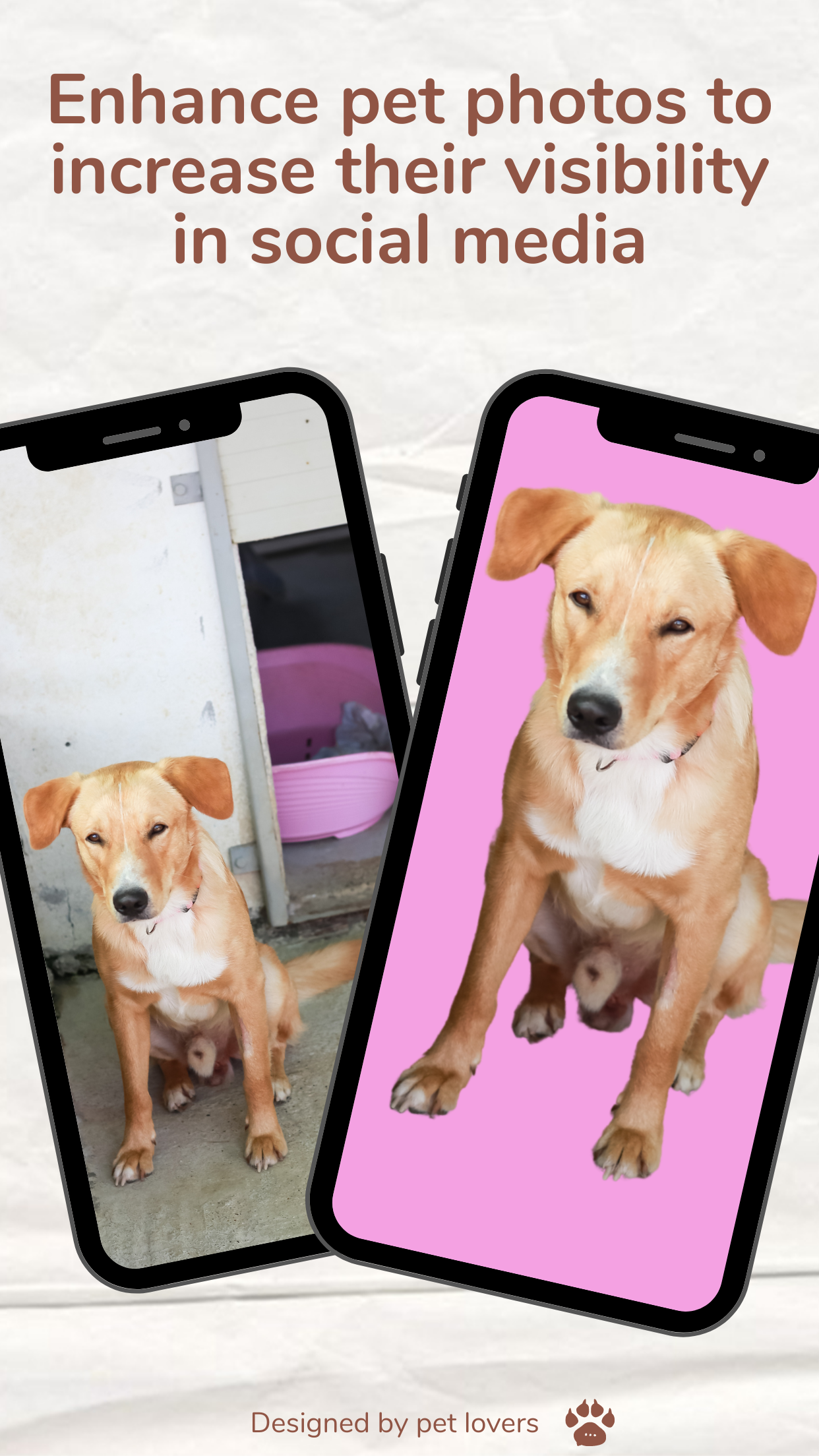 Findpet gallery image