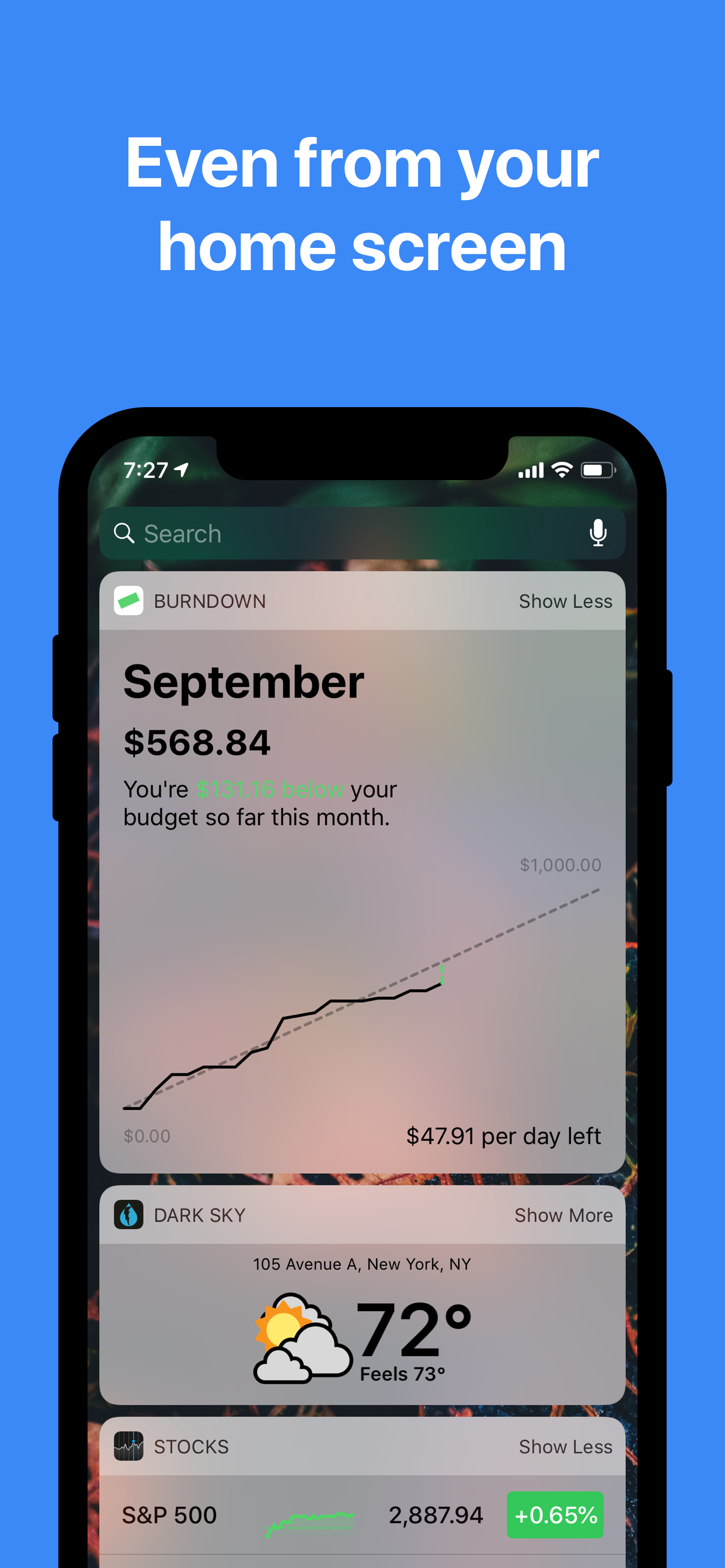 Budget Burndown gallery image