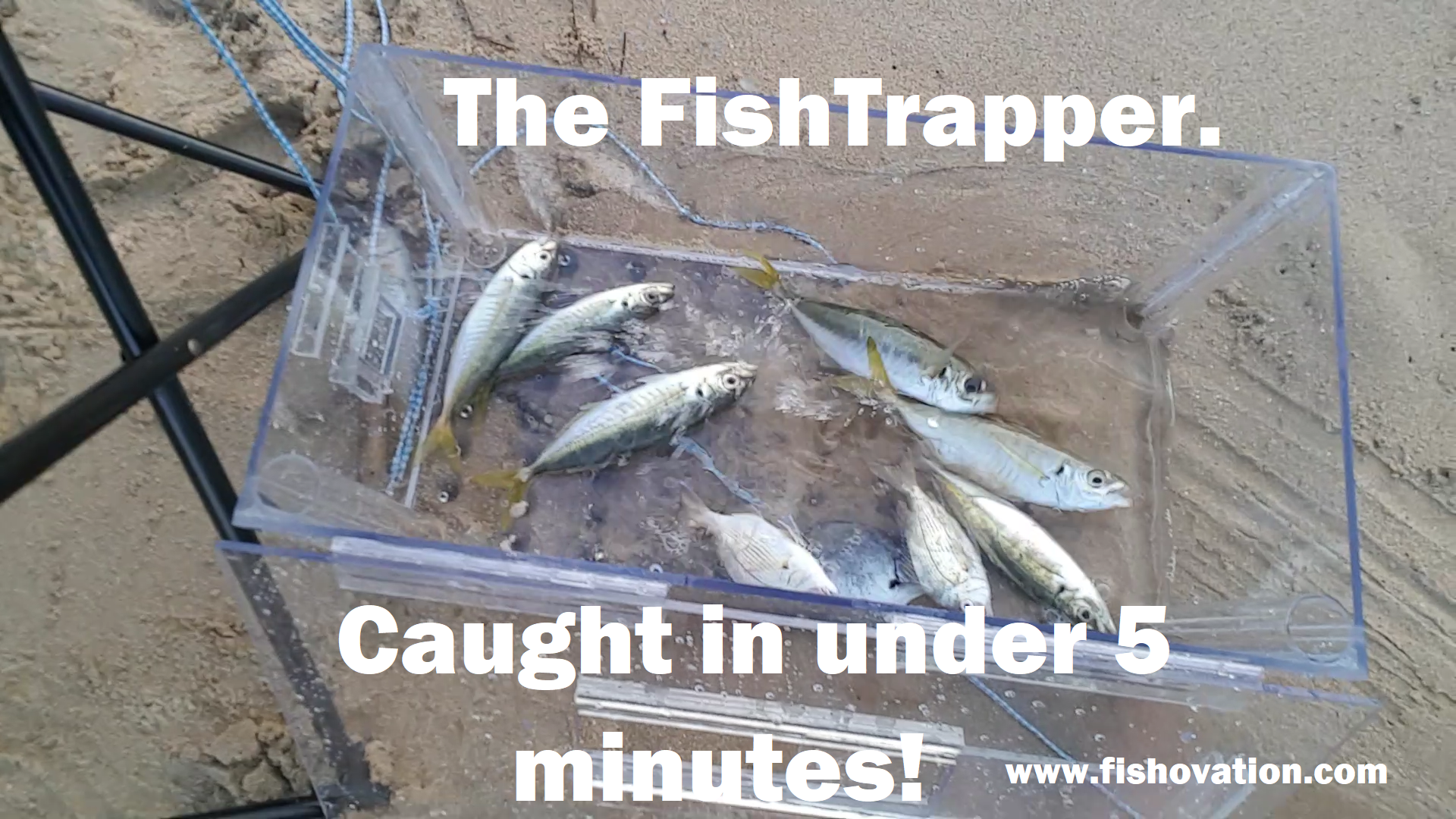 The Ultimate FishTrapper and Baitwell gallery image