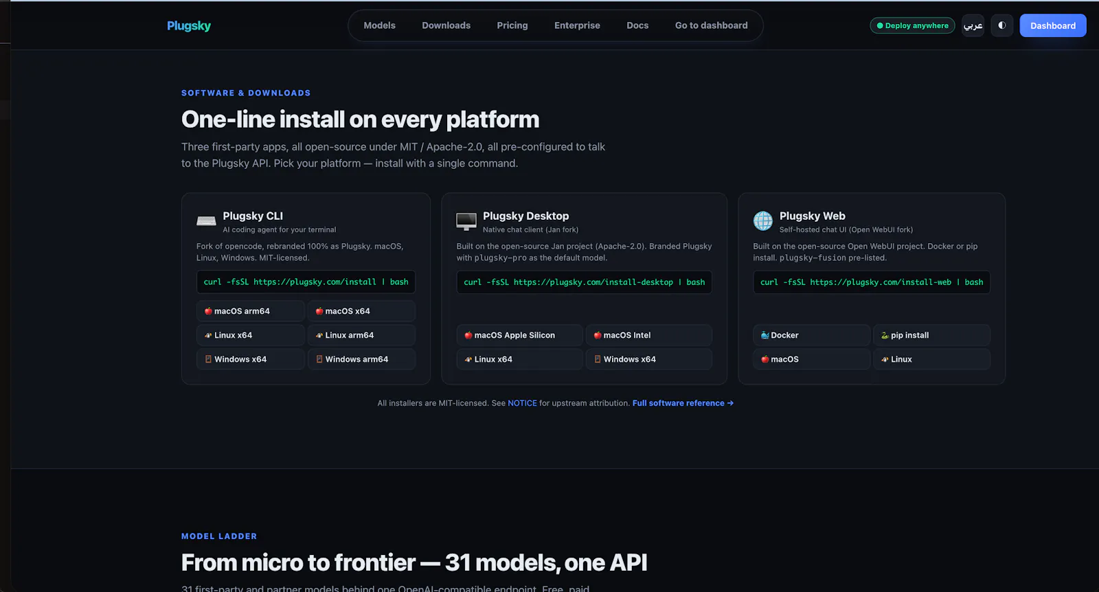 Plugsky Unlimited AI Model API's Usage screenshot 1