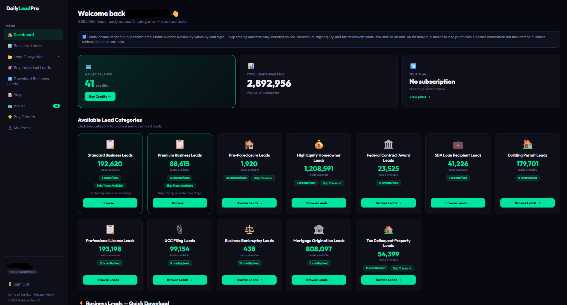 DailyLeadPro gallery image