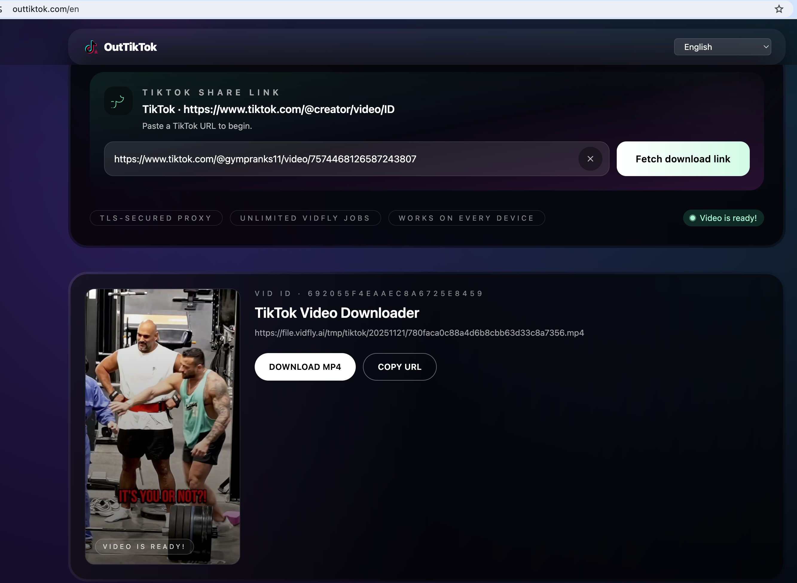 Tiktok videos downloader - Screenshot 2 showing product features and functionality