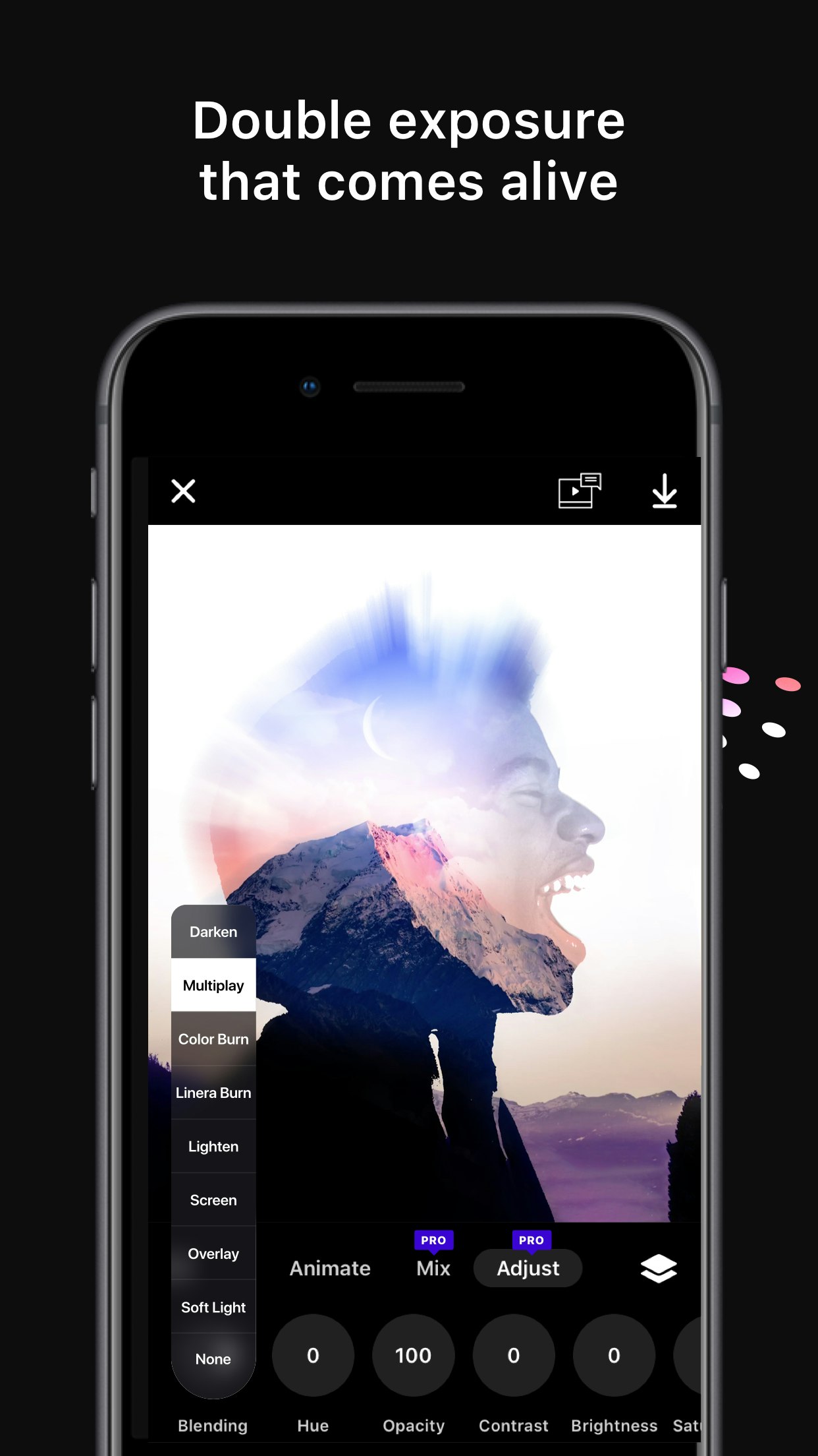 Disflow gallery image
