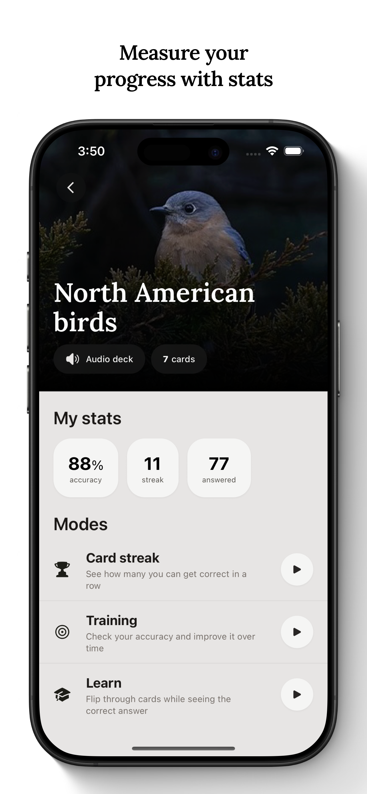 Birdwise gallery image