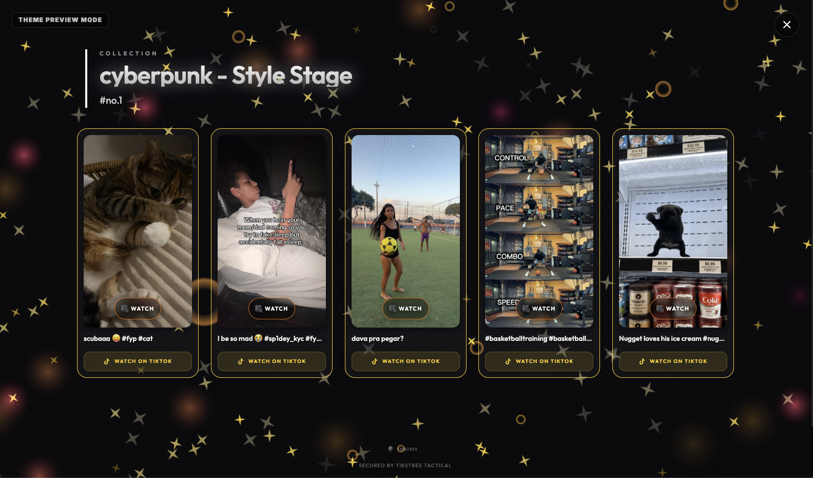 TikStree — Your Personal TikTok Playlist gallery image