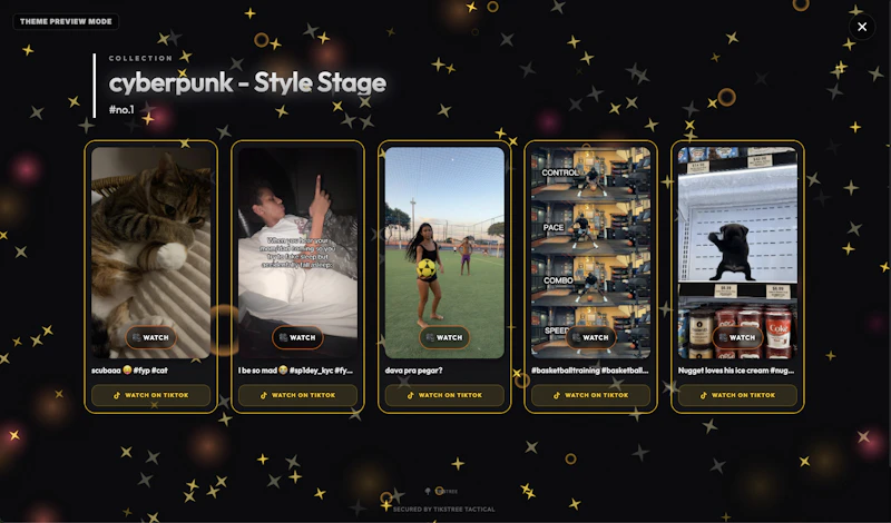 TikStree — Your Personal TikTok Playlist screenshot 2