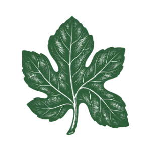 Konfig logo