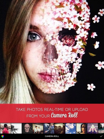 Split Pic gallery image