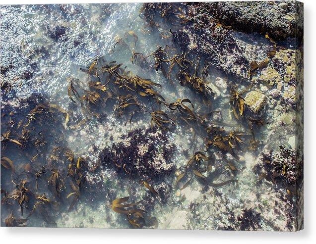 City Meets Sea gallery image