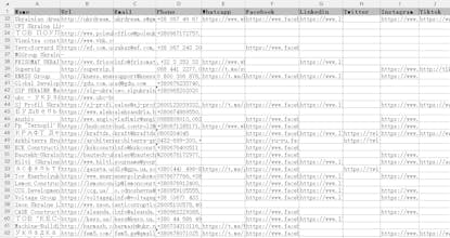 Website Lead Extractor gallery image