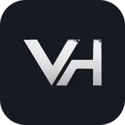 VibeHandler logo
