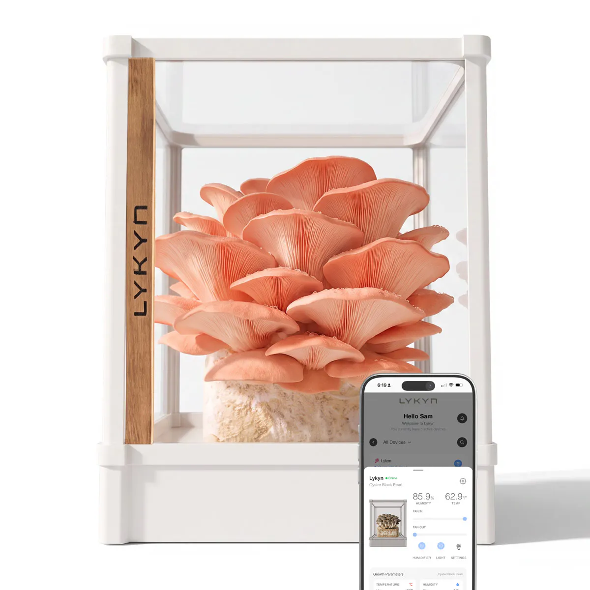 Lykyn Smart Mushroom Grow Box
