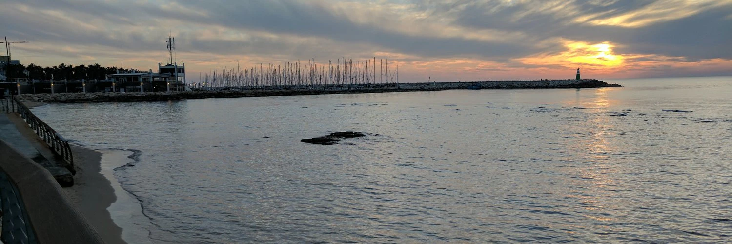 Matt Rosenberg cover