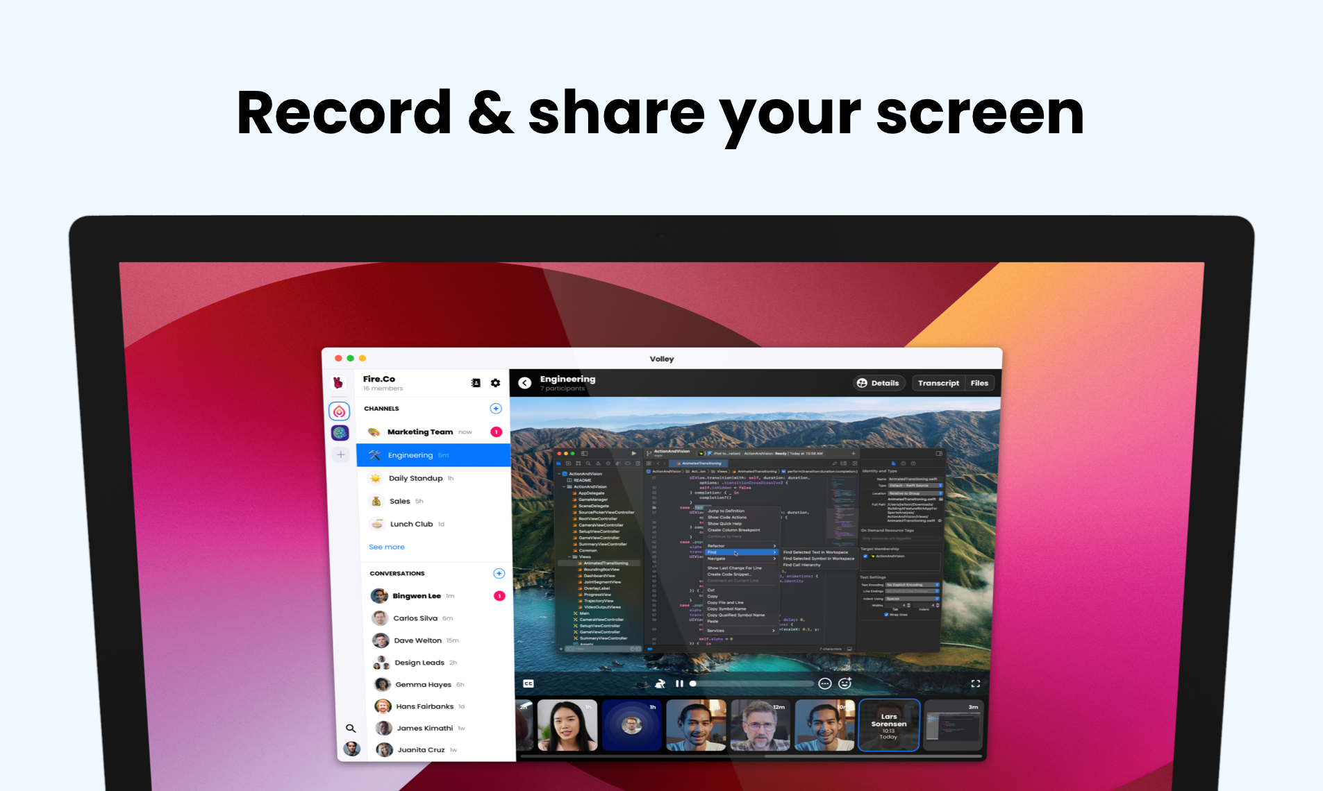 Volley gallery image