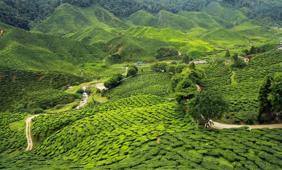 Top Travel Agent in Assam