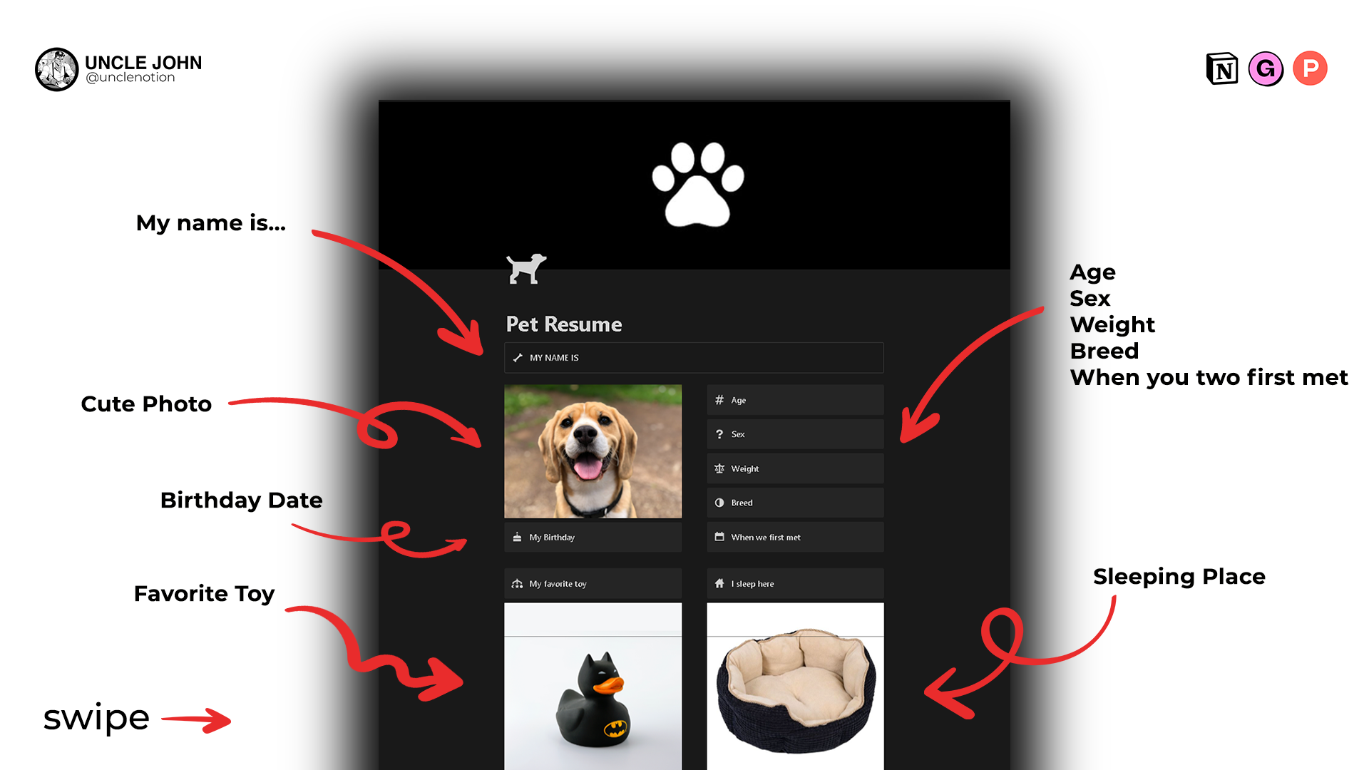Resume Pet - เทมเพลตความคิด - Resume Pet - ถ้าคุณต้องการสัตว์เลี้ยงของคุณก็ทำเช่นกัน! media 2