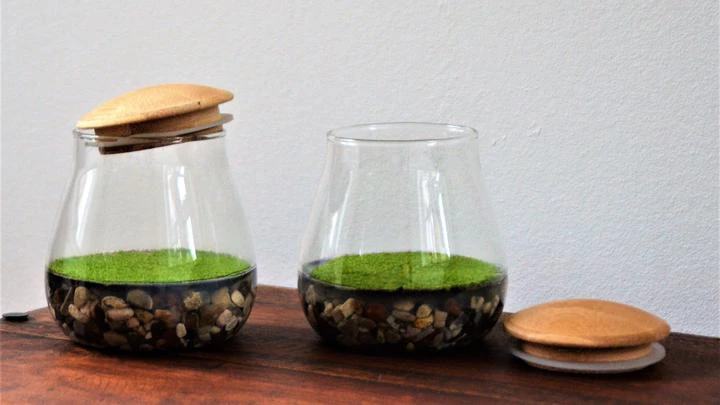 Fragrant Moss in modern Glass bowl 