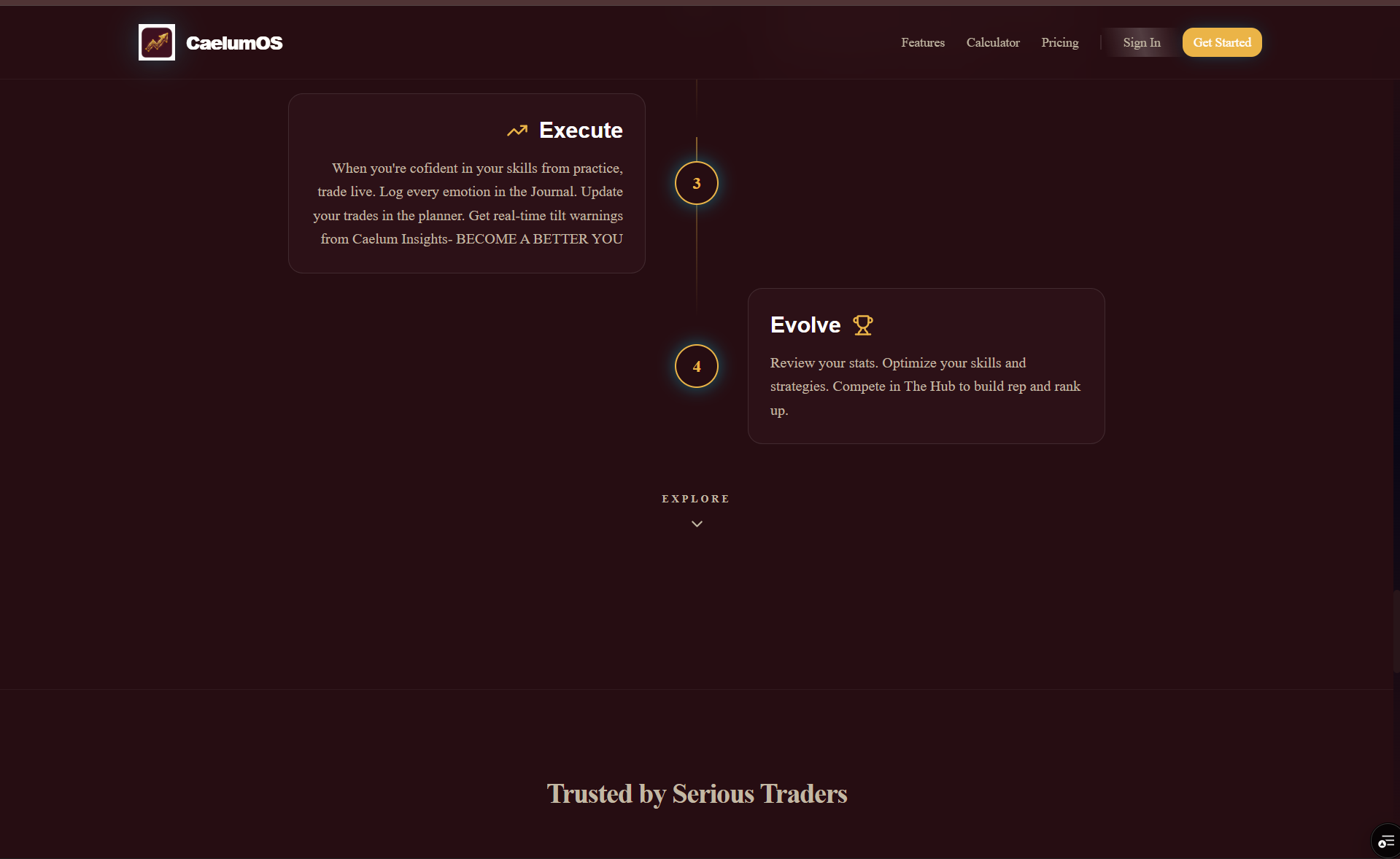 CaelumOS gallery image