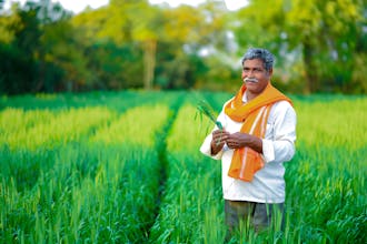 Online Agri Market in India gallery image