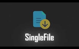 SingleFile media 1